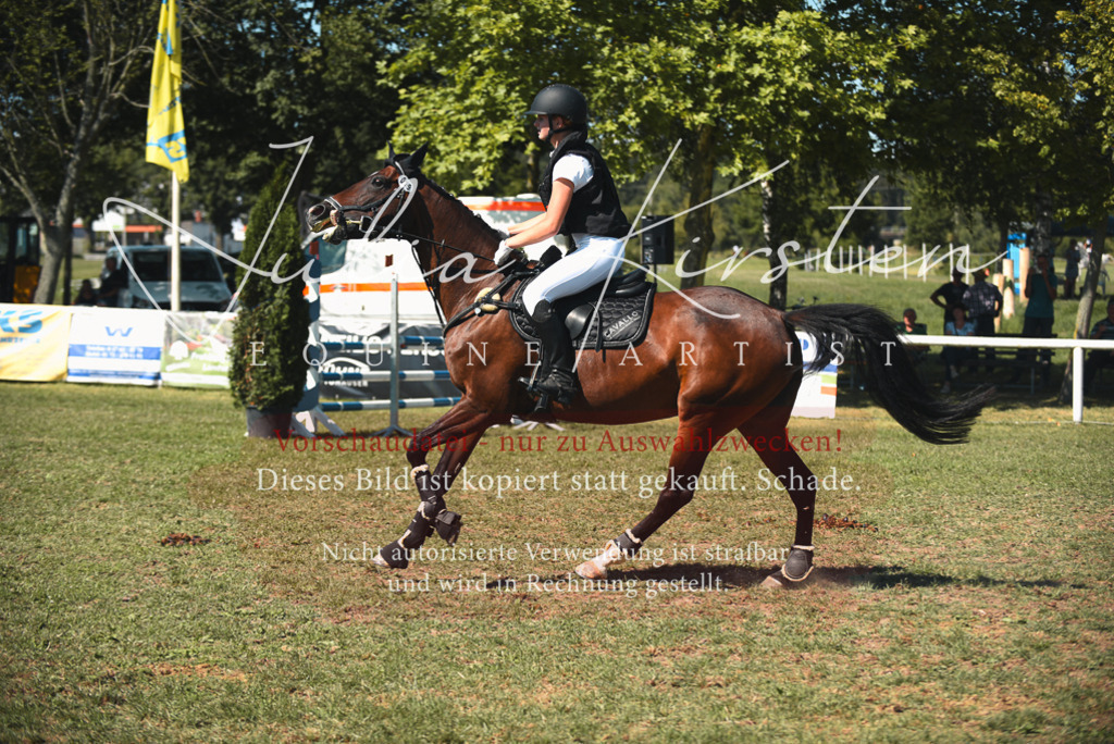 DSC_7195 | Pferde- und Turnierfotografie in Westsachsen. Pferdeportraits, Auftragszeichnungen und intuitive Kunst.