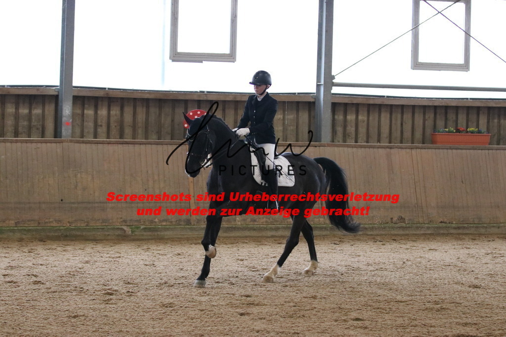 IMG_8745 | lmwpictures - Realisiert mit Pictrs.com