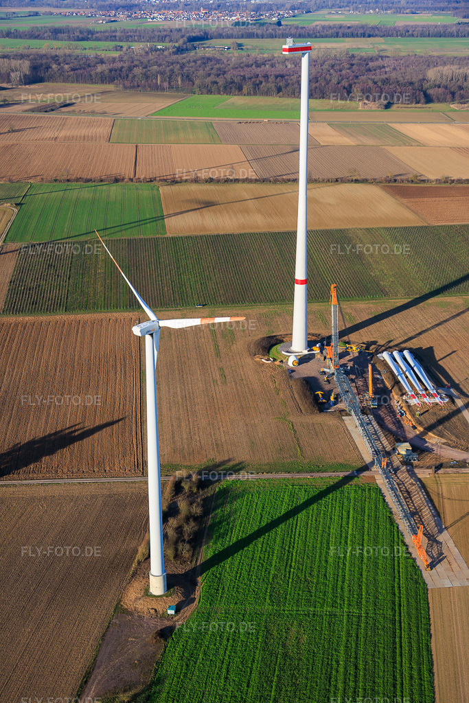 Luftbild: Riesenkran zum Repowering des Windpark Minfeld. JUWI ersetzt vier Altanlagen (GE 1.5) aus 2004 durch zwei neue, modernen Anlagen vom Typ Vestas V162 mit je sechs MW in Minfeld im Bundesland Rheinland-Pfalz in Deutschland. Foto: IMG_152216.jpg vom 27.12.2025 durch Werner Riehm/FLY-FOTO.deJUWI Windparks - JUWI