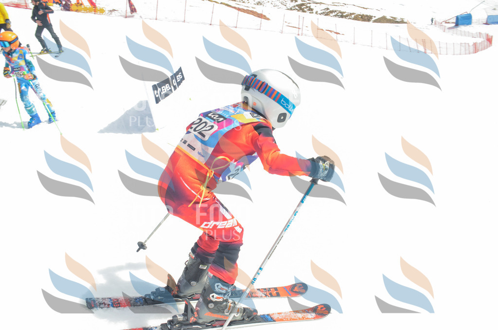 _ELE6933 | holidayphoto