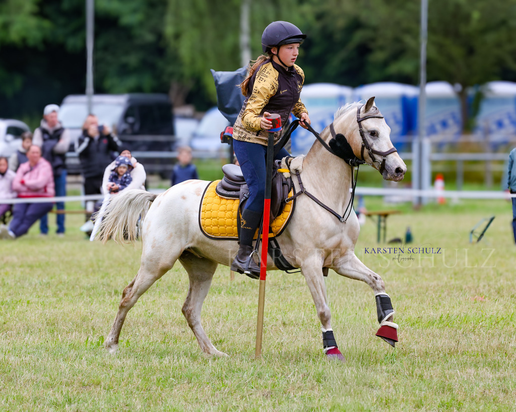 1B3A0228 | Reitsport Reiten
