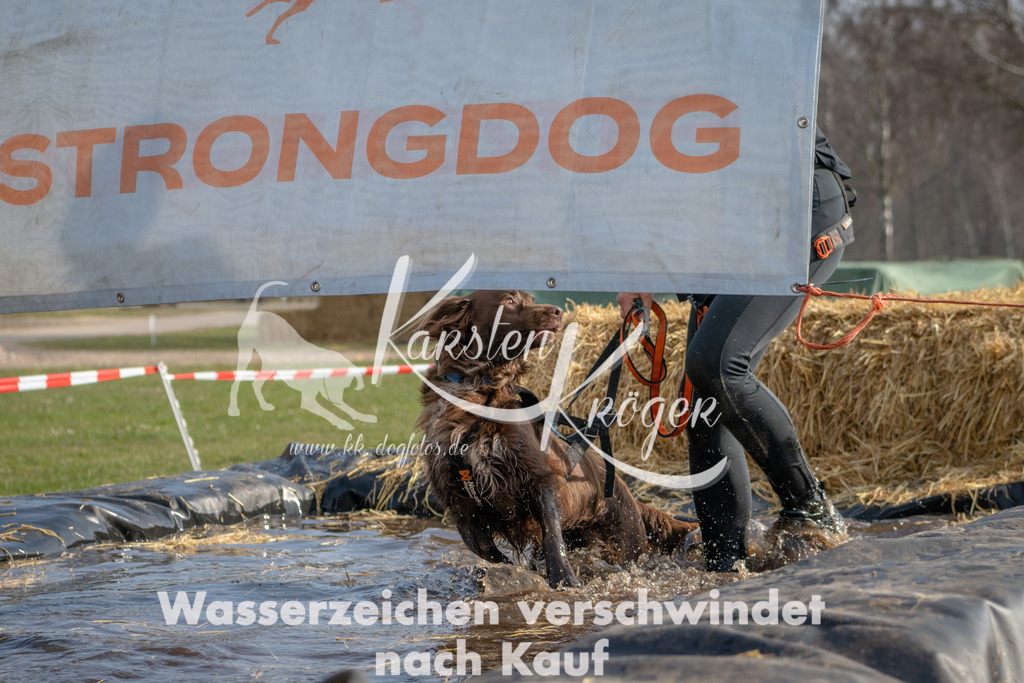 _ZZ91857 | kk-dogfotos