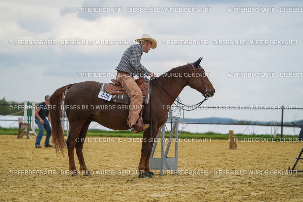 DSC06857 | Pferdegrafie