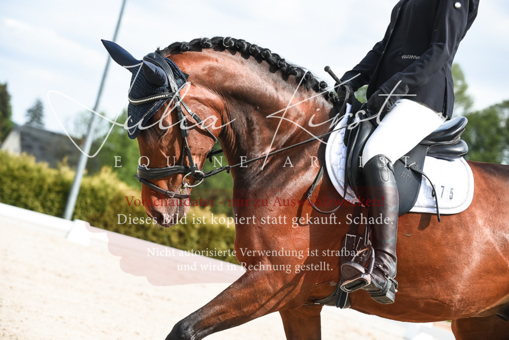 20230518_JK-Röhrsdorf-12-0197 | Pferde- und Turnierfotografie in Westsachsen. Pferdeportraits, Auftragszeichnungen und intuitive Kunst.