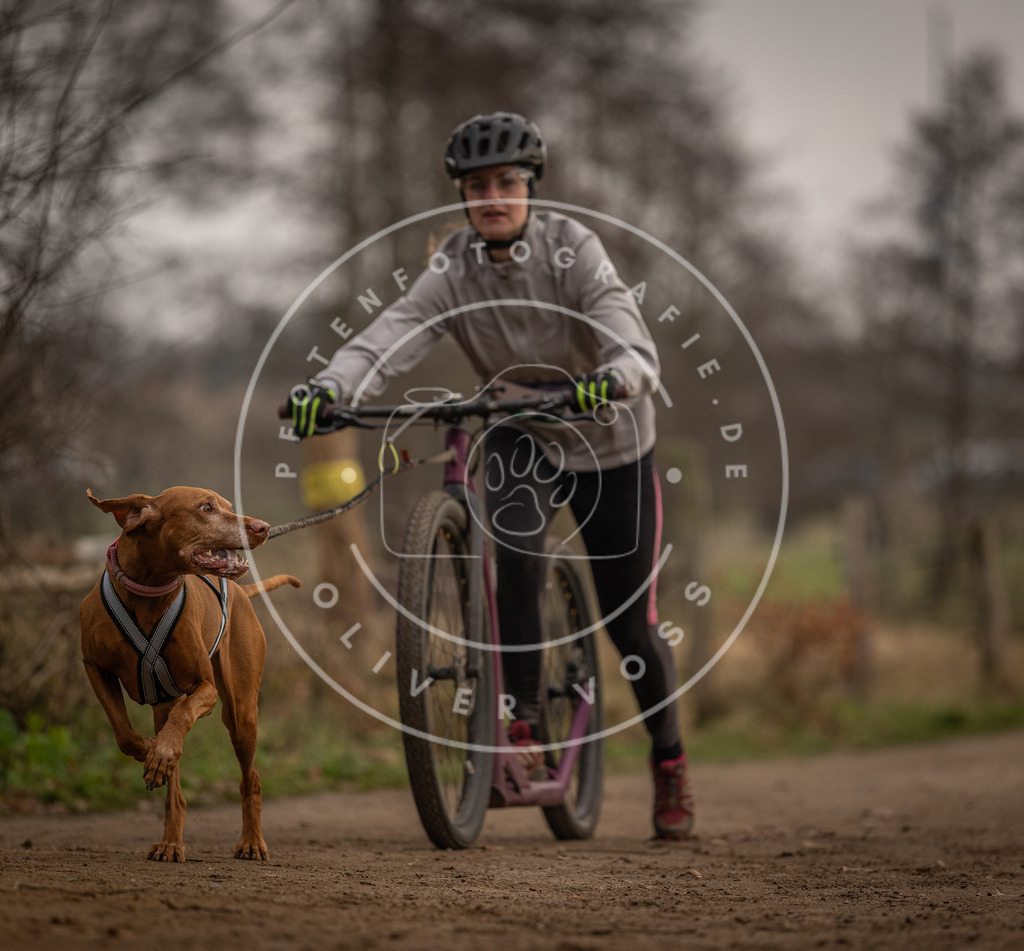 Pfotenfotografie_DV3A4021 | Hundefotografie, Tierfotograf, Pfotenfotografie, Fotoshooting Hund, Hunde Portrait, Hundesport, Hundeportraits, Heideshooting, Hunde, Sportfotograf, Hundefotograf, Turnierhundsport, THS,  - Realisiert mit Pictrs.com
