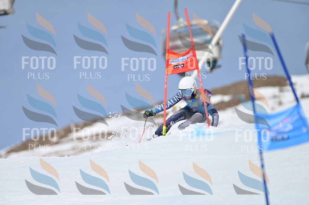 BGV_2891 | holidayphoto