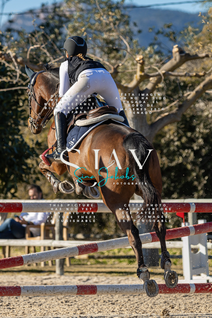 IMG_2218 | s-jay-photography - Realisiert mit Pictrs.com