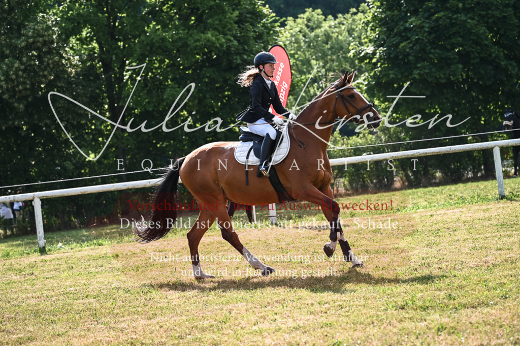 DSC_7693 | Pferde- und Turnierfotografie in Westsachsen. Pferdeportraits, Auftragszeichnungen und intuitive Kunst.