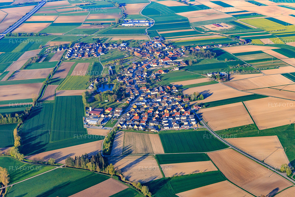 Luftbild: Ortsansicht von Nordosten in Schutterzell im Bundesland Baden-Württemberg in Deutschland. Foto: IMG_126570.jpg vom 25.04.2021 durch Werner Riehm/FLY-FOTO.de