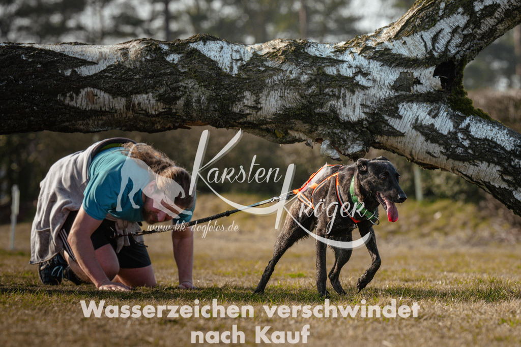 0930_ZZ99259 | kk-dogfotos