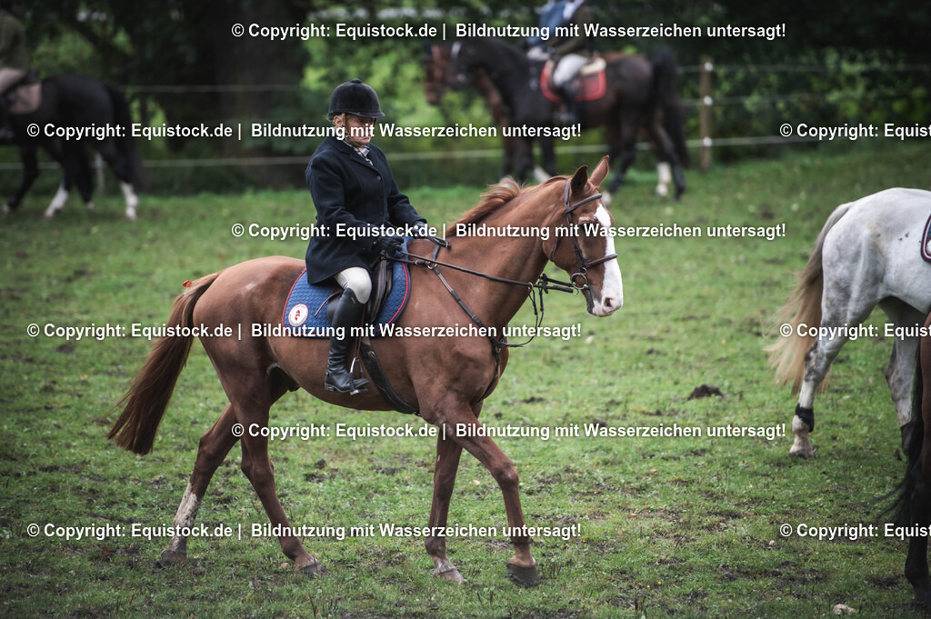 20241013_Jagd-Marbach_0112 | Foto: Thomas Hartig