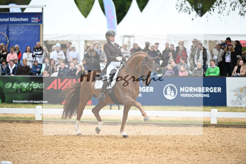 Reichert_SpringBank II VH_26266221 | hf-fotografie - Realisiert mit Pictrs.com