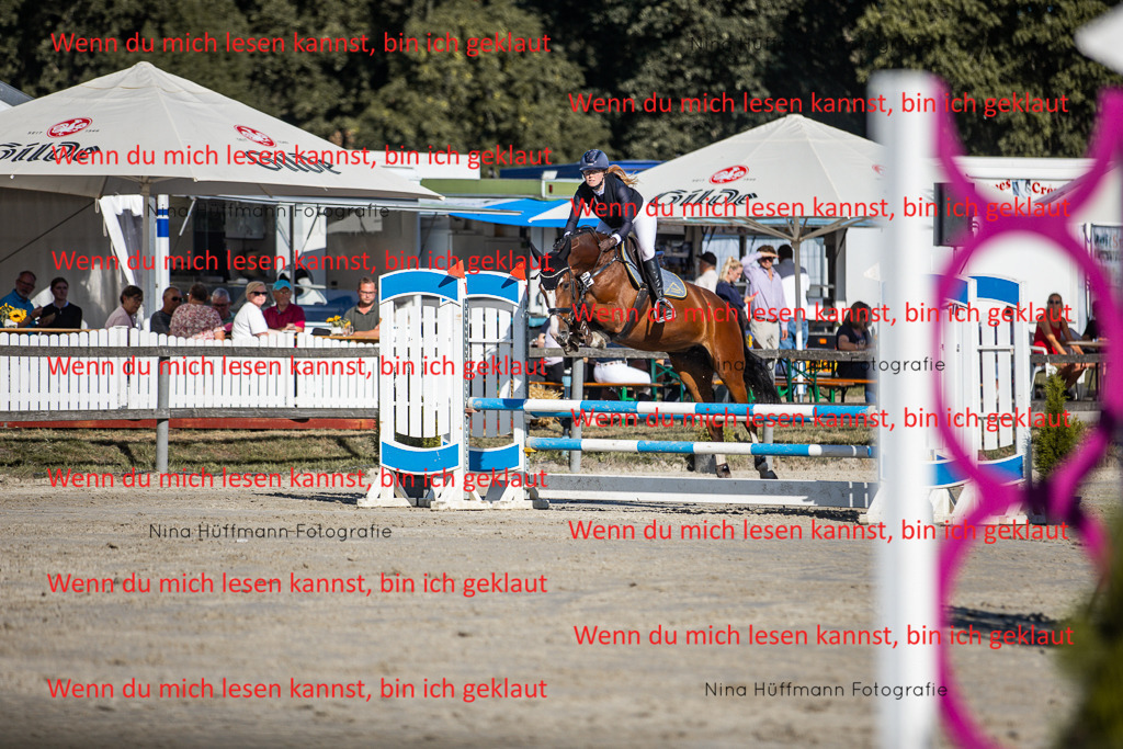 BK1A7491 | Turnierbilder Turnierfotos Nina Hüffmann Turnierfotografie Pferdefotografie Tierzeichnung Haustierzeichnung Pferdezeichnung Hundezeichnung Videograf  - Realisiert mit Pictrs.com