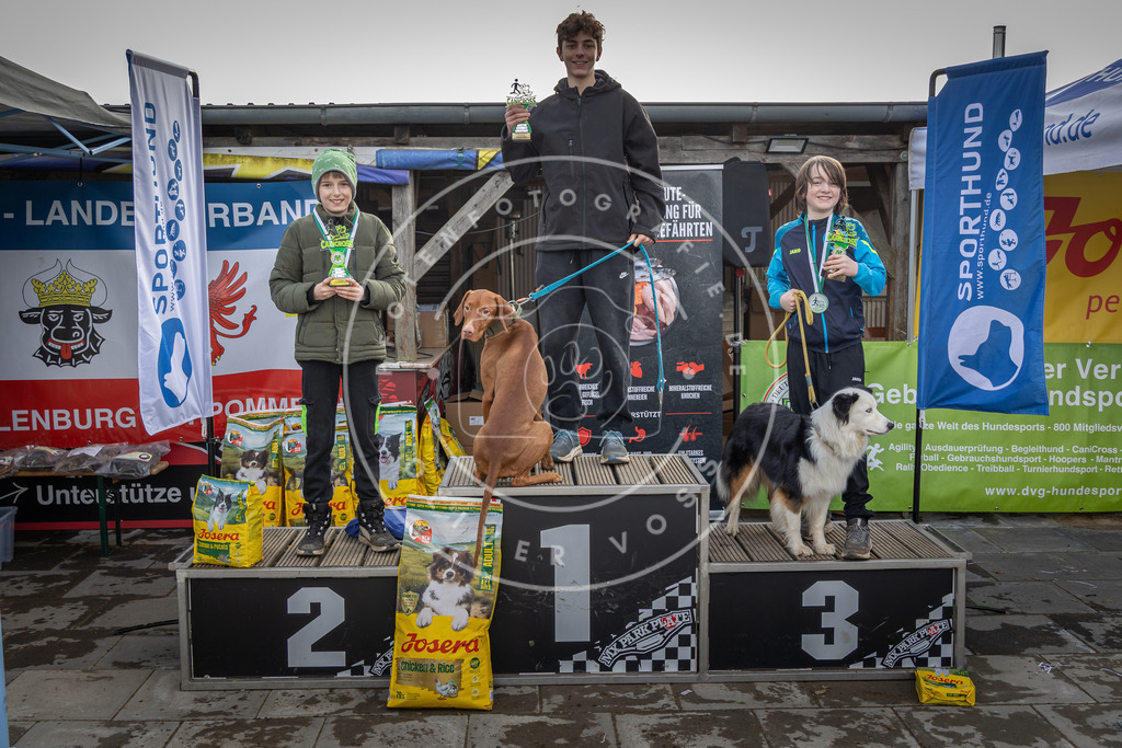 0L8A9271 | Hundefotografie, Tierfotograf, Pfotenfotografie, Fotoshooting Hund, Hunde Portrait, Hundesport, Hundeportraits, Heideshooting, Hunde, Sportfotograf, Hundefotograf, Turnierhundsport, THS,  - Realisiert mit Pictrs.com