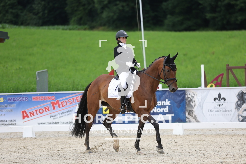0P6A4801 | Willkommen bei Brunnmayr - Design & Fotografie – Ihrem Spezialisten für Reitturniere und Pferdeveranstaltungen in Oberösterreich, Salzburg und Bayern! Seit über 17 Jahren sind wir leidenschaftlich dabei.