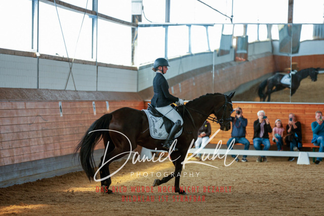 _62_7671 | Turniersportfotografie; Pferdefotografie; Dressurfotografie