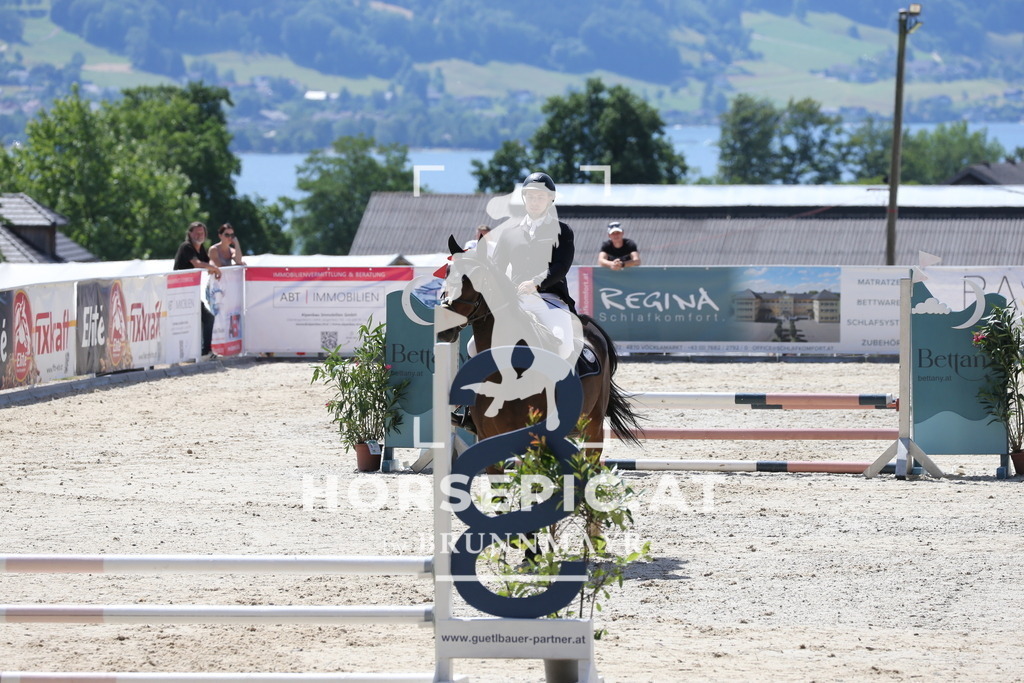PP017199 | Willkommen bei Brunnmayr - Design & Fotografie – Ihrem Spezialisten für Reitturniere und Pferdeveranstaltungen in Oberösterreich, Salzburg und Bayern! Seit über 17 Jahren sind wir leidenschaftlich dabei.