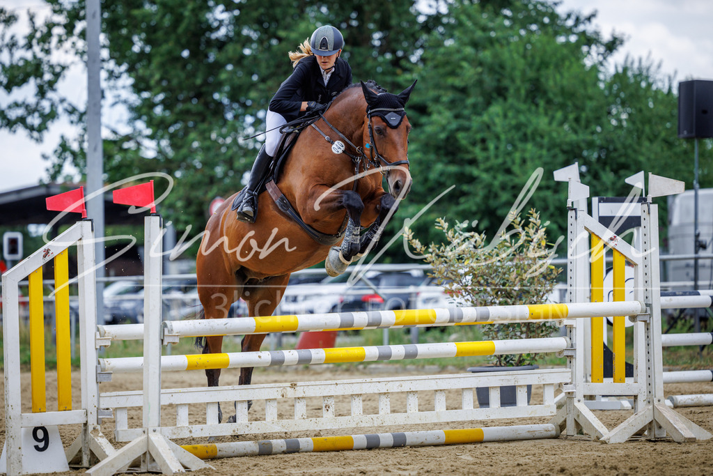 20260705-_3LI5243 | Tierfotografie Pferde, Hunde, Katzen, Haustiere.
Turnierfotografie Reitturniere, Reiten, Springreiten, Dressur in Hanau, dem Main-Kinzig-Kreis und dem Rhein-Main- Gebiet um Frankfurt