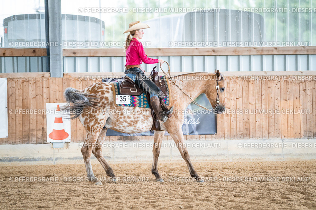 DSC07550 | Pferdegrafie