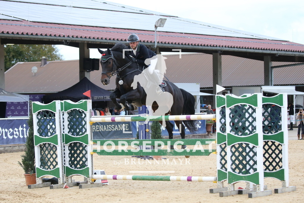 DL2Q5723 | Willkommen bei Brunnmayr - Design & Fotografie – Ihrem Spezialisten für Reitturniere und Pferdeveranstaltungen in Oberösterreich, Salzburg und Bayern! Seit über 17 Jahren sind wir leidenschaftlich dabei.