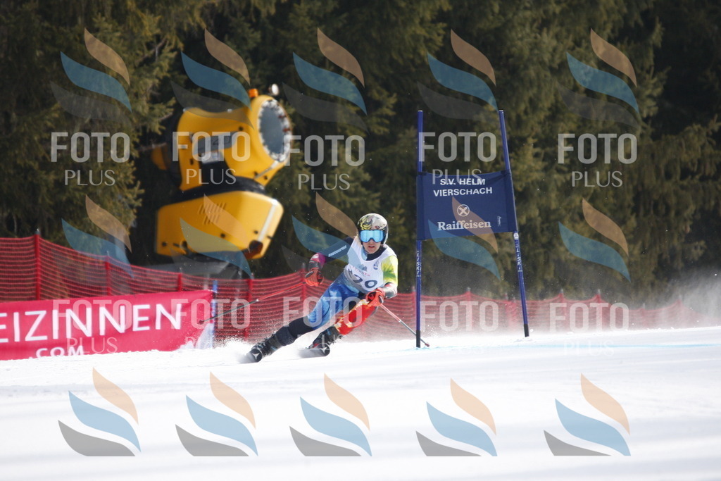 D8408 | holidayphoto