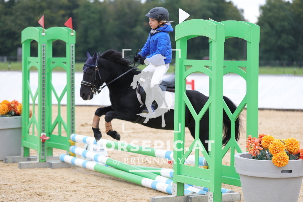 0P6A2947 | Willkommen bei Brunnmayr - Design & Fotografie – Ihrem Spezialisten für Reitturniere und Pferdeveranstaltungen in Oberösterreich, Salzburg und Bayern! Seit über 17 Jahren sind wir leidenschaftlich dabei.