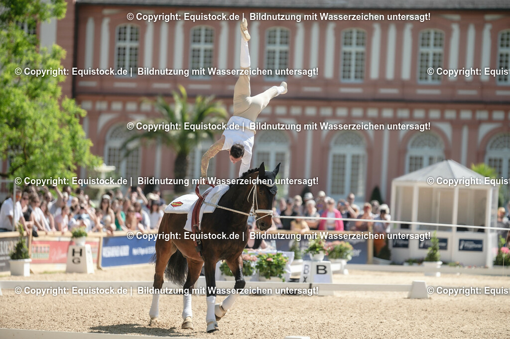 20230528_Voltigieren_NASPA_0170 | equistock