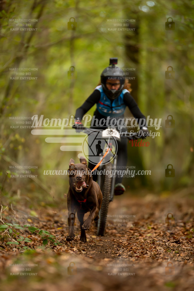 TSB_2023_E1_Bike-54 | PayLife
