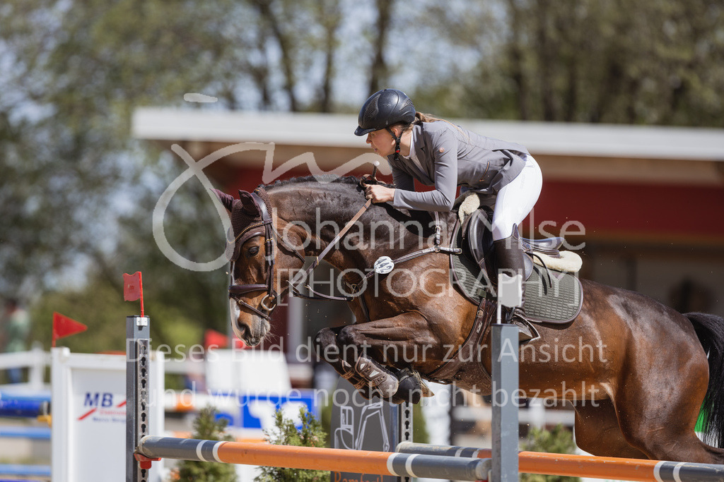 230501_SpengeW_M2St-236 | Deine schönsten Turniermomente als professionelle Fotos! Entdecke hochwertige Pferdesport-Fotografie im Online-Shop. Jetzt Fotos finden & bestellen!