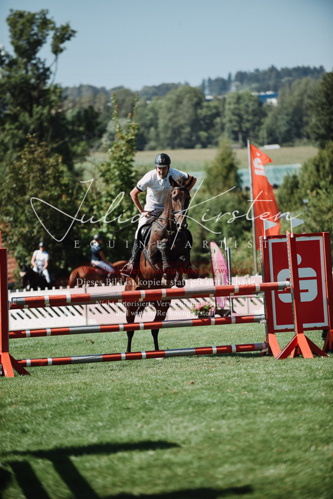 DSC_3041 | Pferde- und Turnierfotografie in Westsachsen. Pferdeportraits, Auftragszeichnungen und intuitive Kunst.