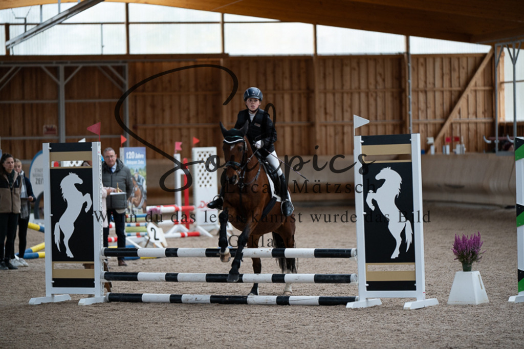 A7V02942 | Pferdefotograf