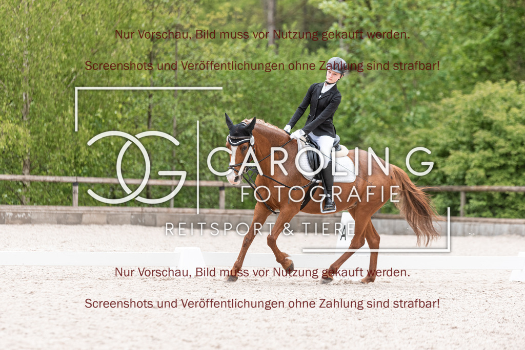 DSC_8419 | Turnierfotografin Carolin Gieschke, Turnierfotografie Carolin G Fotografie, Turnierfotos Kirchheim/Teck, Esslingen, Stuttgart, Bodenseekreis