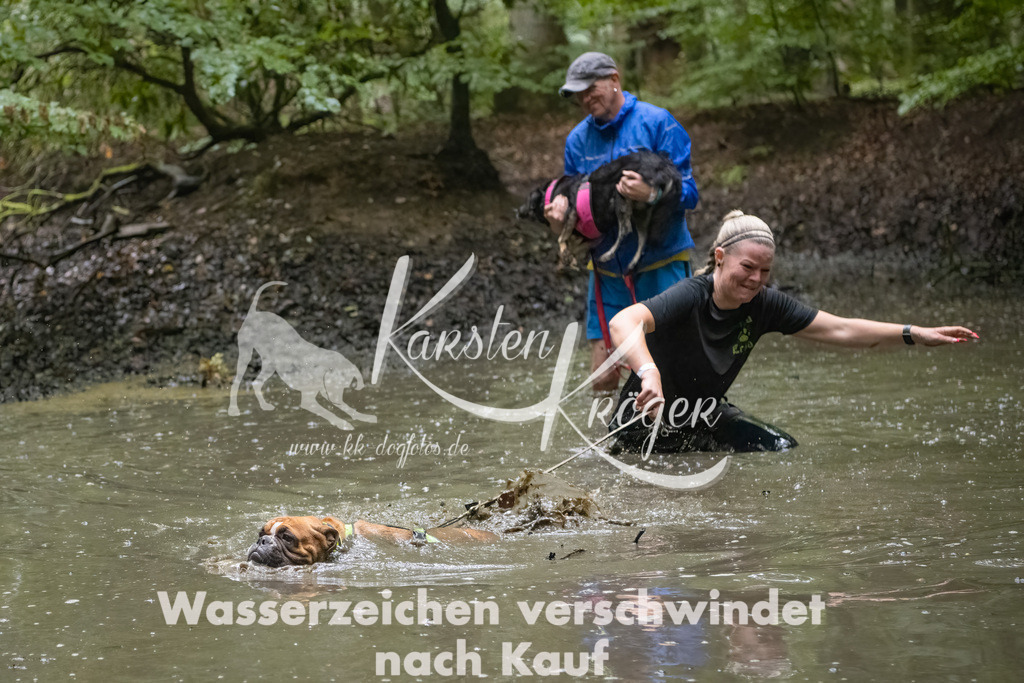 0957_ZZ91600-Bearbeitet | kk-dogfotos
