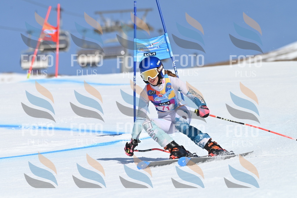 BGV_8929 | holidayphoto