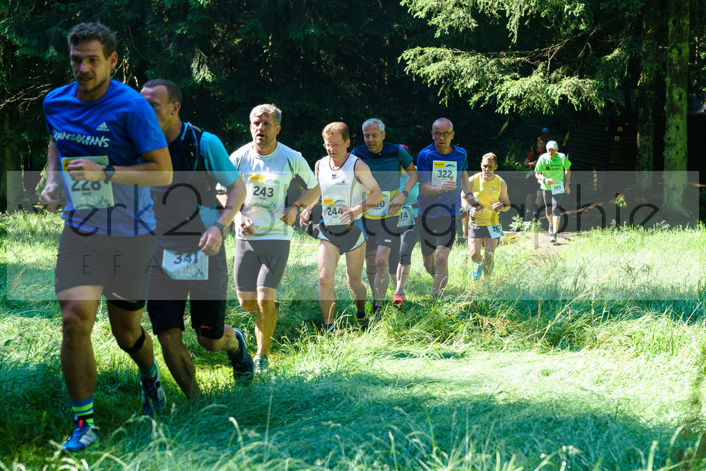 Schneekopflauf 2021 | Schmiedefeld, 3. Juli 2021