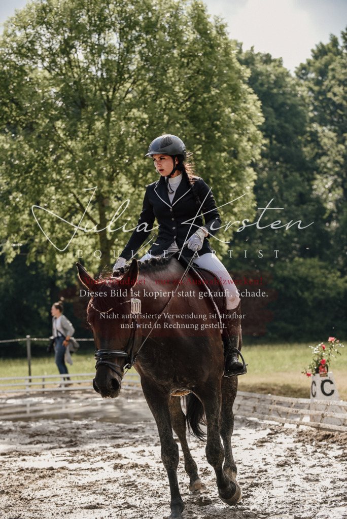 DSC_8704 | Pferde- und Turnierfotografie in Westsachsen. Pferdeportraits, Auftragszeichnungen und intuitive Kunst.