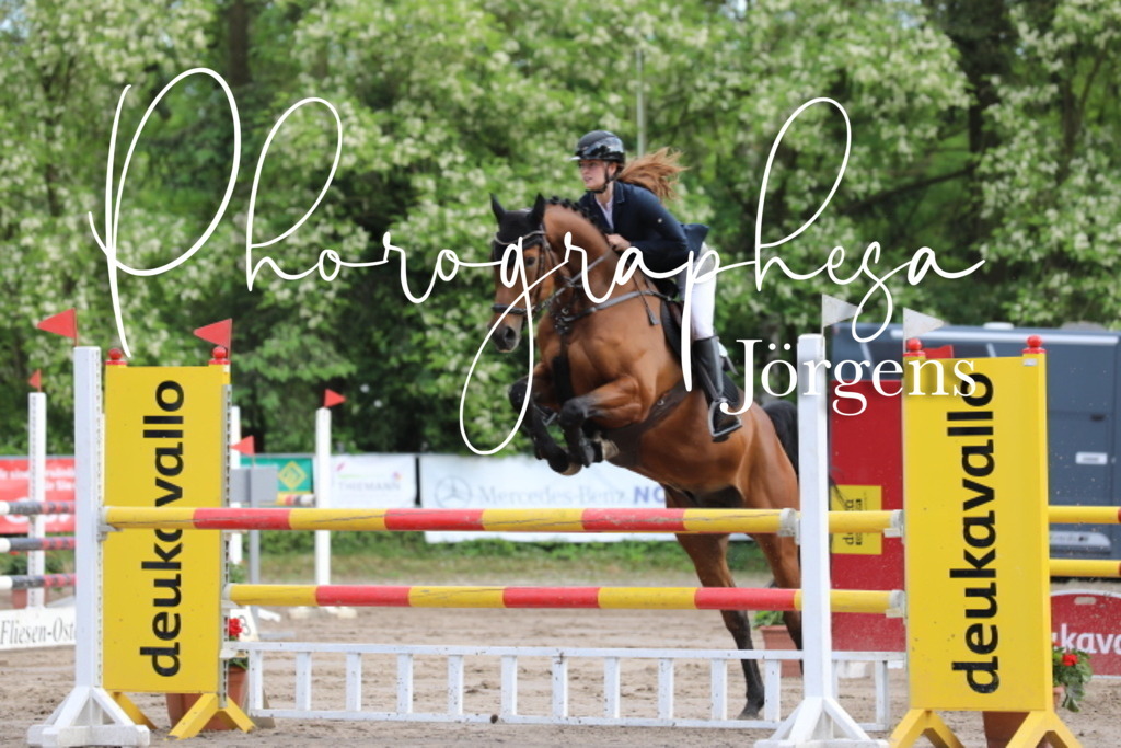 IMG_9081 | photographesa-joergens - Realisiert mit Pictrs.com