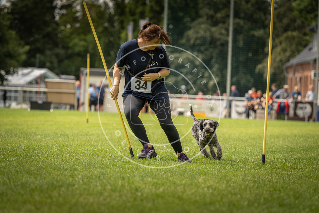 Pfotenfotografie_DV3A2501 | Hundefotografie, Tierfotograf, Pfotenfotografie, Fotoshooting Hund, Hunde Portrait, Hundesport, Hundeportraits, Heideshooting, Hunde, Sportfotograf, Hundefotograf, Turnierhundsport, THS,  - Realisiert mit Pictrs.com