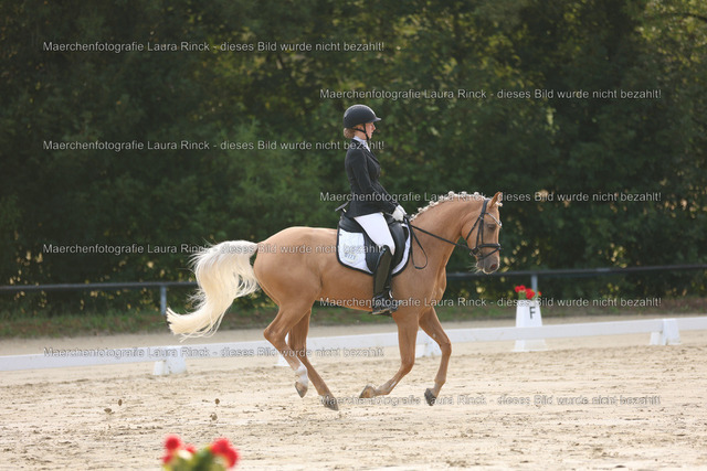 HG9A7321 | laurarinckfotografie - Realisiert mit Pictrs.com