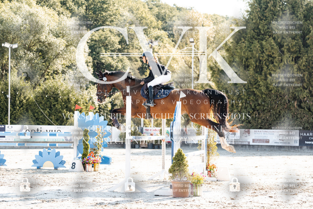 CK901950 | Turnierfotografie Pferdefotografie Trier Rheinland-Pfalz Pferdesport Reitsport Tierfotografie Sportfotografie Pferdevideo Pferdevideografie Equestrianvideography equestrianphotography  - Realisiert mit Pictrs.com
