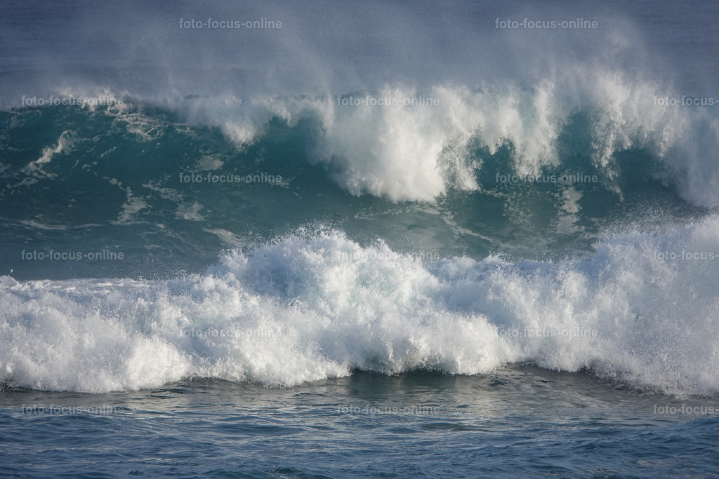 Wild Waves | Wild Waves Atlantic