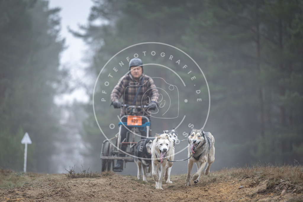 Pfotenfotografie_DV3A0545 | Hundefotografie, Tierfotograf, Pfotenfotografie, Fotoshooting Hund, Hunde Portrait, Hundesport, Hundeportraits, Heideshooting, Hunde, Sportfotograf, Hundefotograf, Turnierhundsport, THS,  - Realisiert mit Pictrs.com