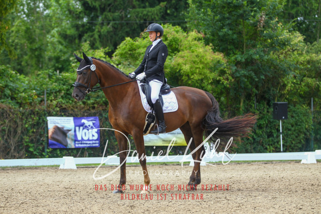 DKP40506 | Turniersportfotografie; Pferdefotografie; Dressurfotografie