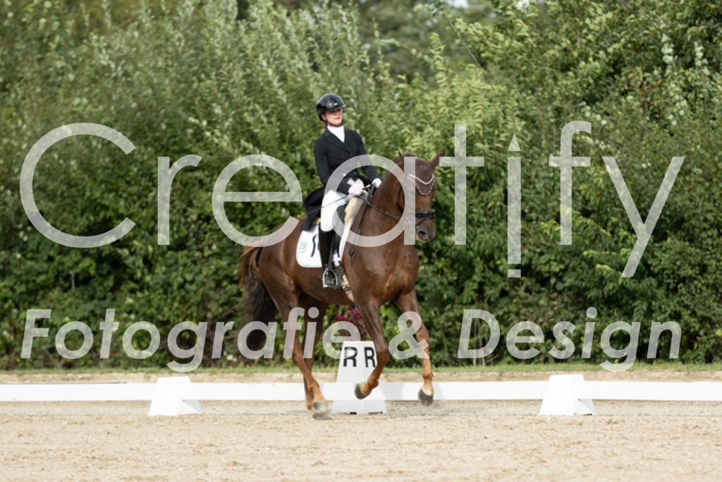 IMG_6929 | Creatify Fotografie