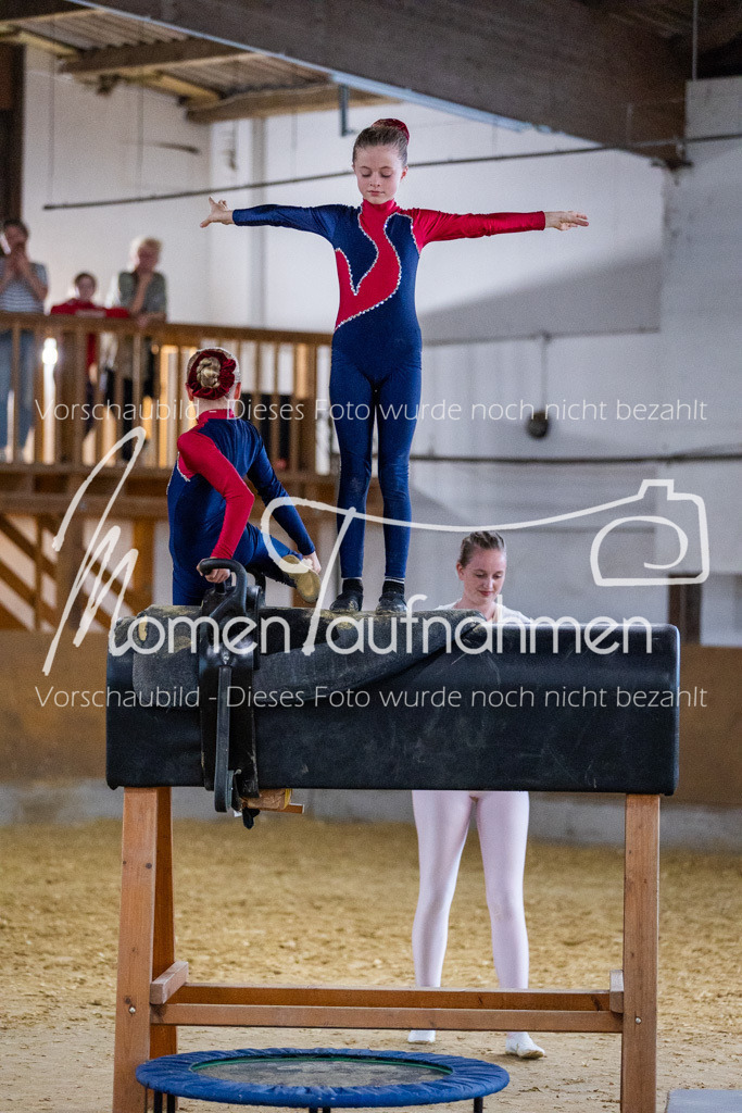 Holzpferd-094 | MomenTaufnahmen Pferdesportfotos