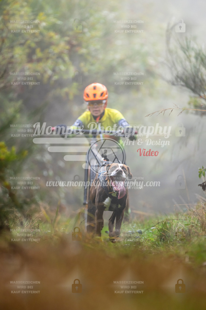 MompixPhotography_20TSB_E4_DS1-48 | PayLife
