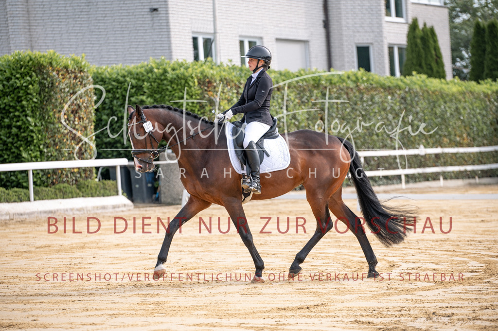 Schugtsche-Aluta25-40.DressurprfA_-28 | Schugtsche Fotografie - Realisiert mit Pictrs.com
