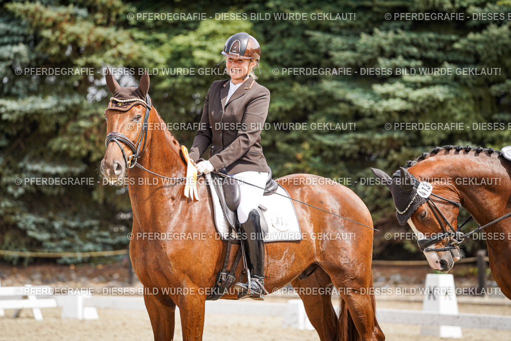 DSC09657 | Pferdegrafie