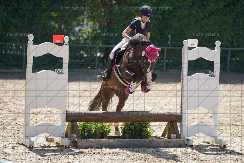 20240824-FAH07997 | Thierhaupten 2024, Bayerisches Landesponyturnier, Turnierbilder, Ponybilder, Turnierfotografen Bayern, Fotoagentur Herrmann