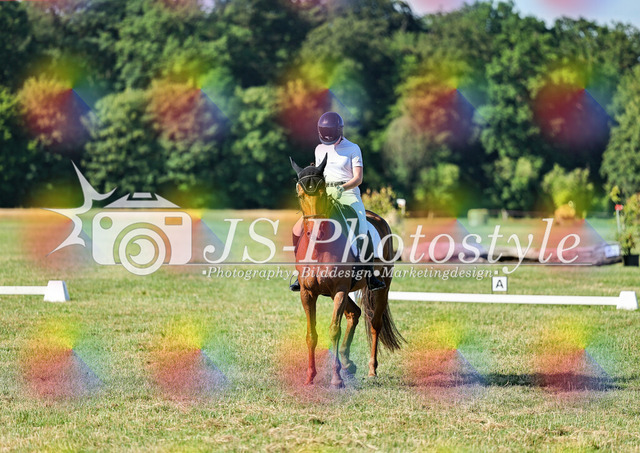 20260628_14a_VA_Dressur-76 | JS-Photostyle - Sport-/Portrait- & Eventfotografie